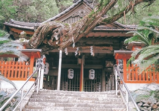白岩丹生神社
